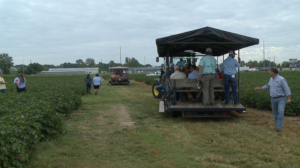 Cotton Tour Field Day Held In Jackson 5
