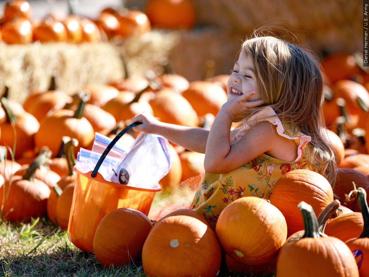 Your 2023 Guide to Fall & Halloween in West Tennessee WBBJ TV