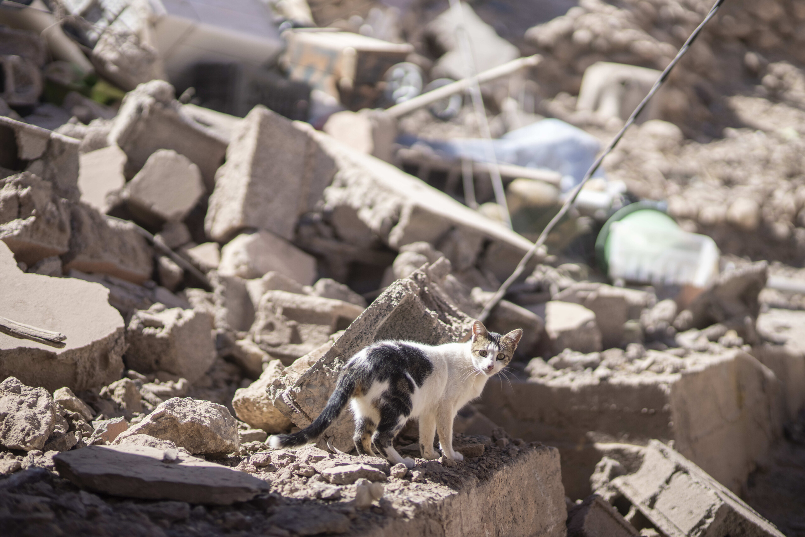 Powerful Quake In Morocco Kills More Than 1,000 People And Damages ...