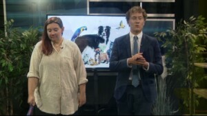 Pet Of The Week Angel