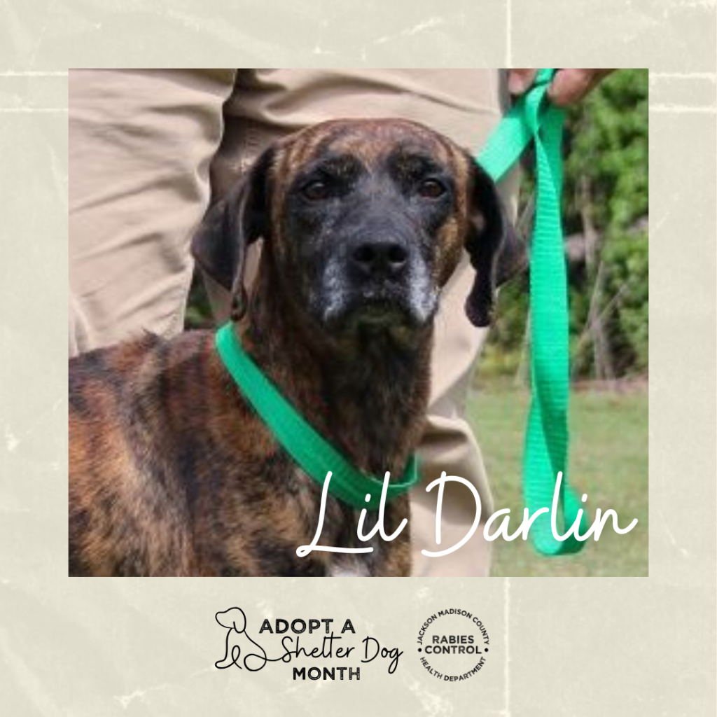 Fi Lildarlin