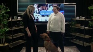 Pet Of The Week Elmer