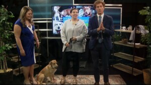 Pet Of The Week Tilley