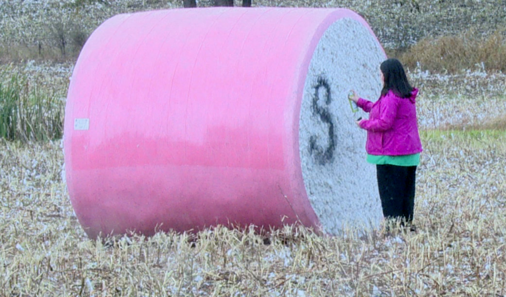 Cotton on, Cotton Off. Cotton On - Access Park Bellville