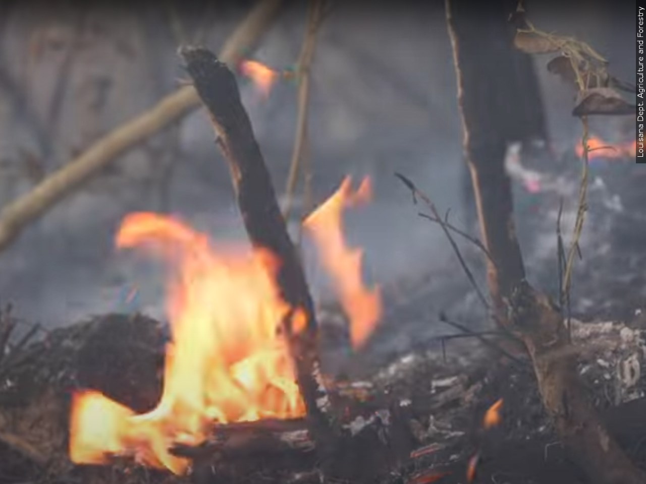 Oct. 15th begins the requirement of burn permits in TN WBBJ TV