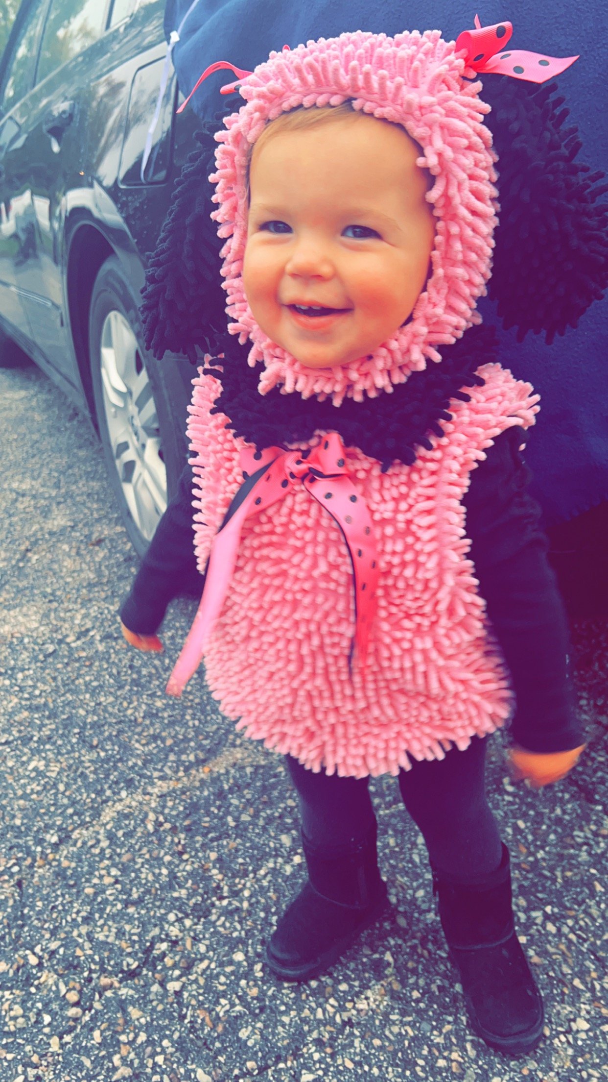 Kinsey Mae, Pink Poodle, McLemoresville - WBBJ TV