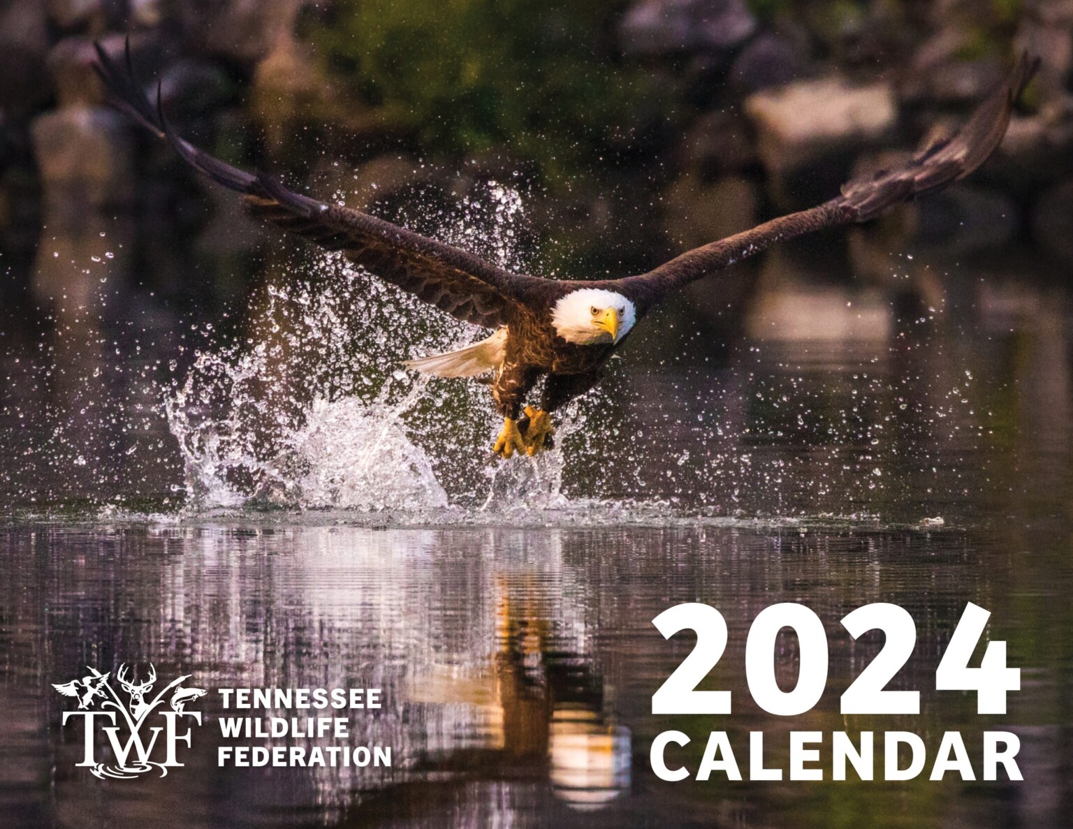 Tennessee Wildlife Federation Makes A Splash With 2024 Calendar WBBJ TV   400673660 757397896420764 3571437893149325032 N 1536x1187 