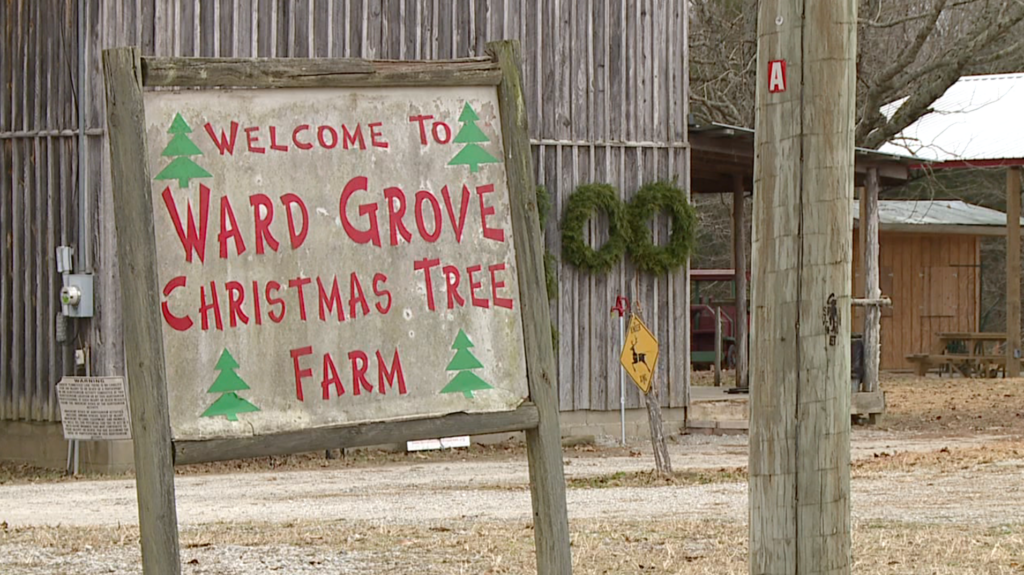 Local Christmas tree farm opens for the season WBBJ TV