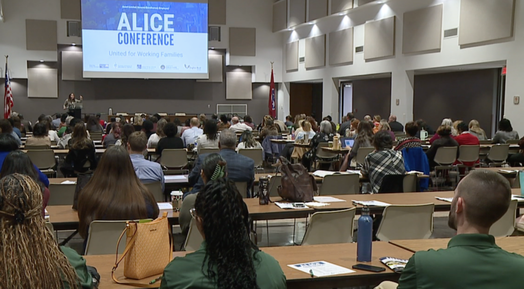 Alice Conference 2