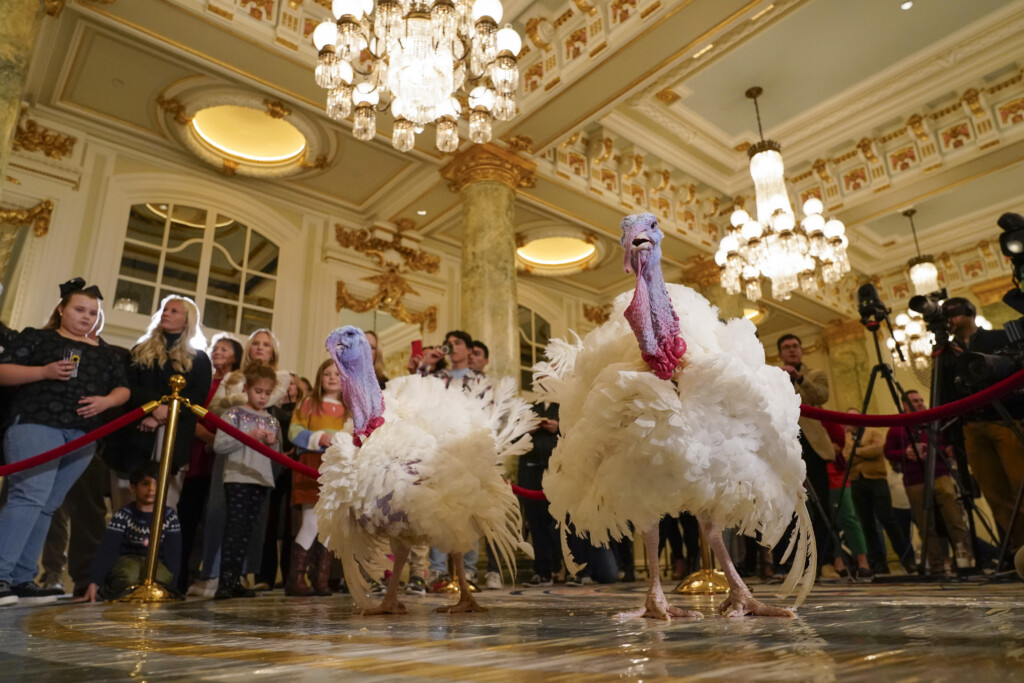 Biden Turkey Pardon