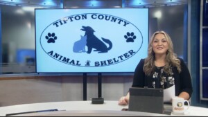 Pet Of The Week Roxie