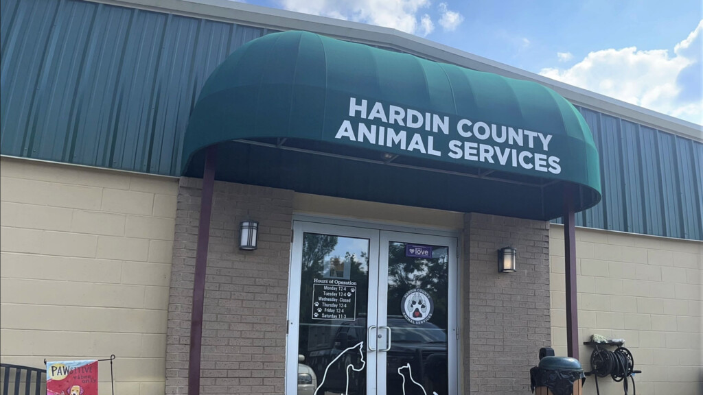 Animal Services