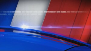 Christmas Light Display Pkg