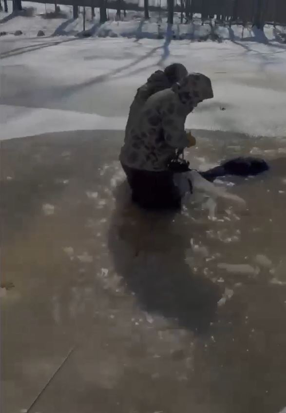 Calf Rescue In Atwood 2