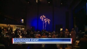 Nights In The Caribbean Vo/sot