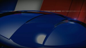 Lights Camera Fashion