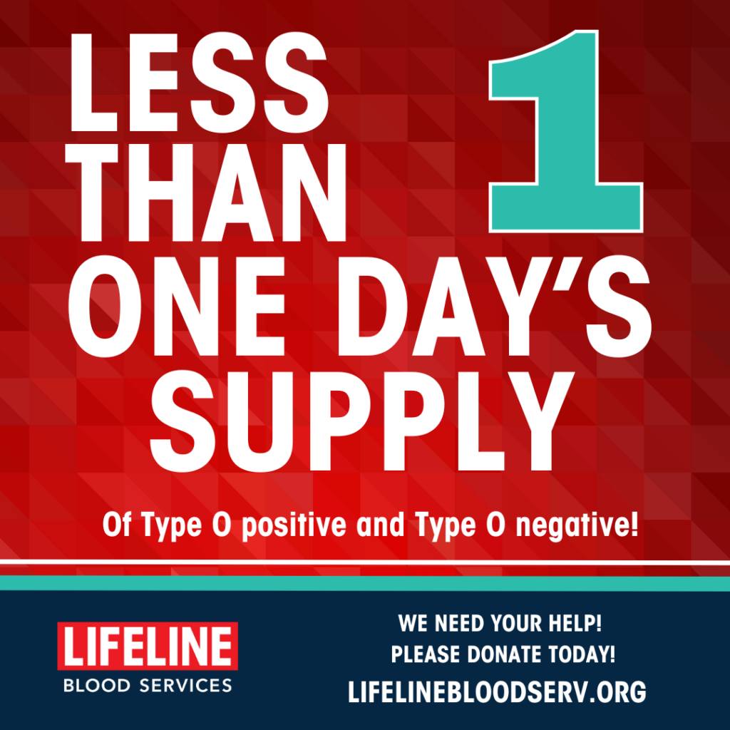 Lifeline One Day Feb9 2024