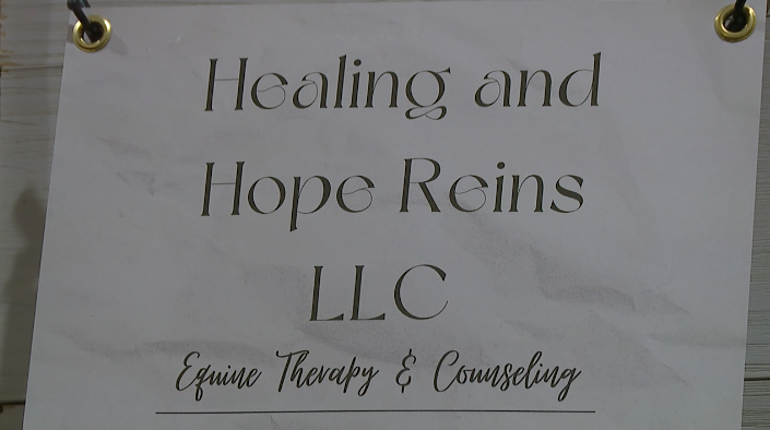 Healing And Hope Reins 2