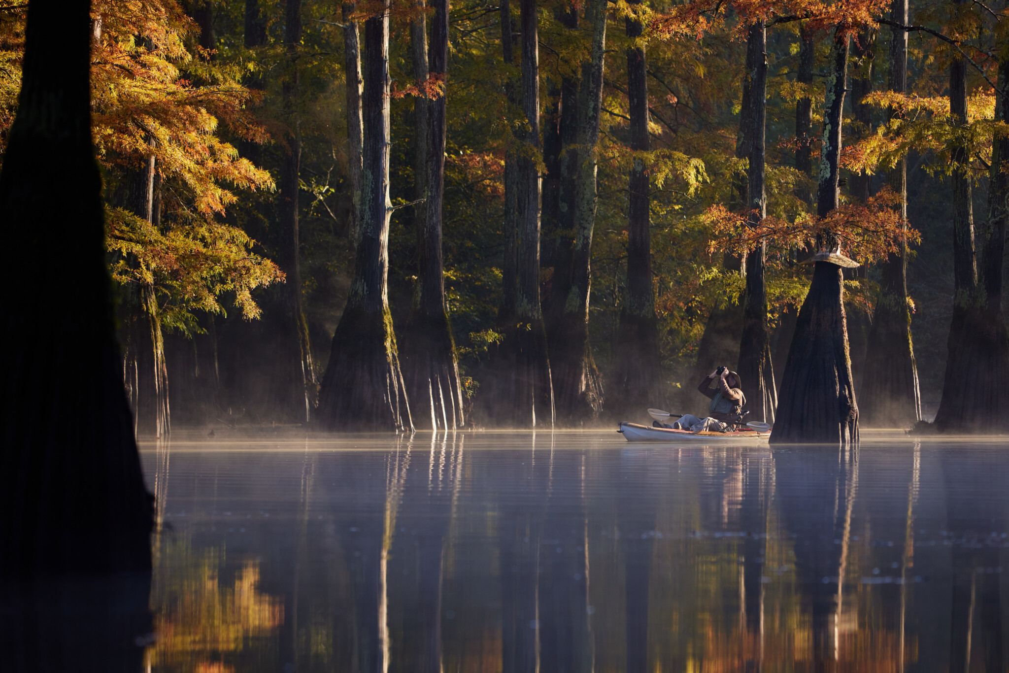 New non-profit emerges to safeguard scenic Hatchie River - WBBJ TV