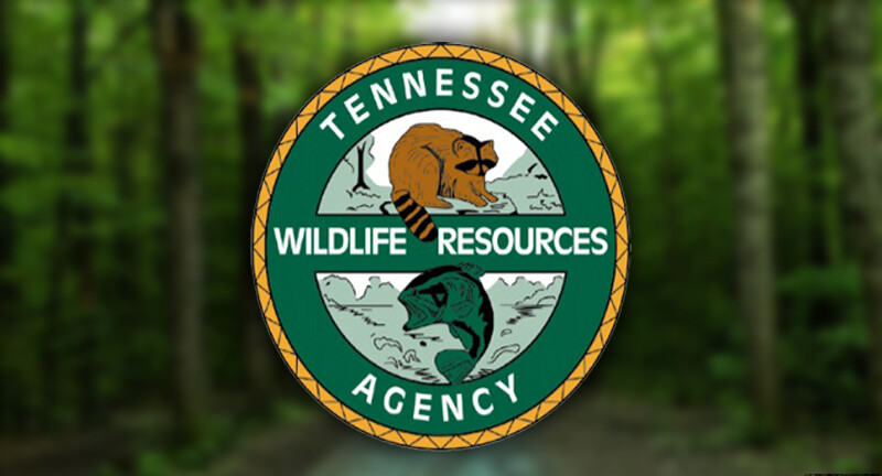 TWRA: 2024-25 gun hunting season for deer opens November 23 - WBBJ TV