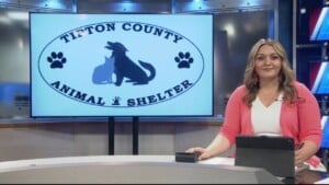 Pet Of The Week Lily