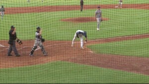 Rockabillys Defeat Burlington Bees
