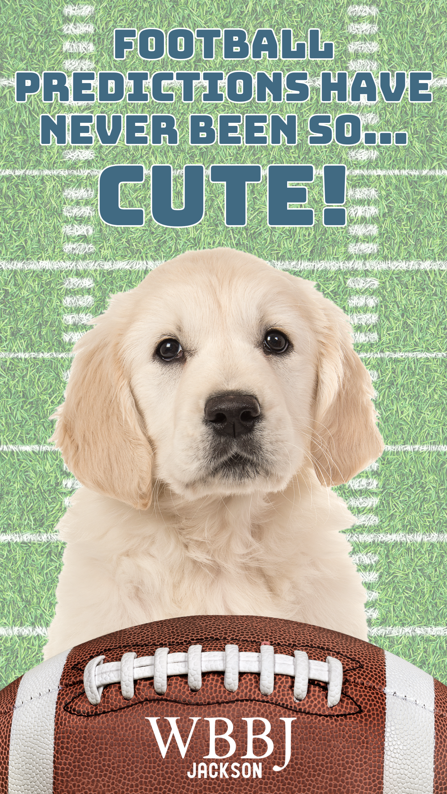 Come Get Me For Half Time Hot Wings And Any Good Puppy Commercials