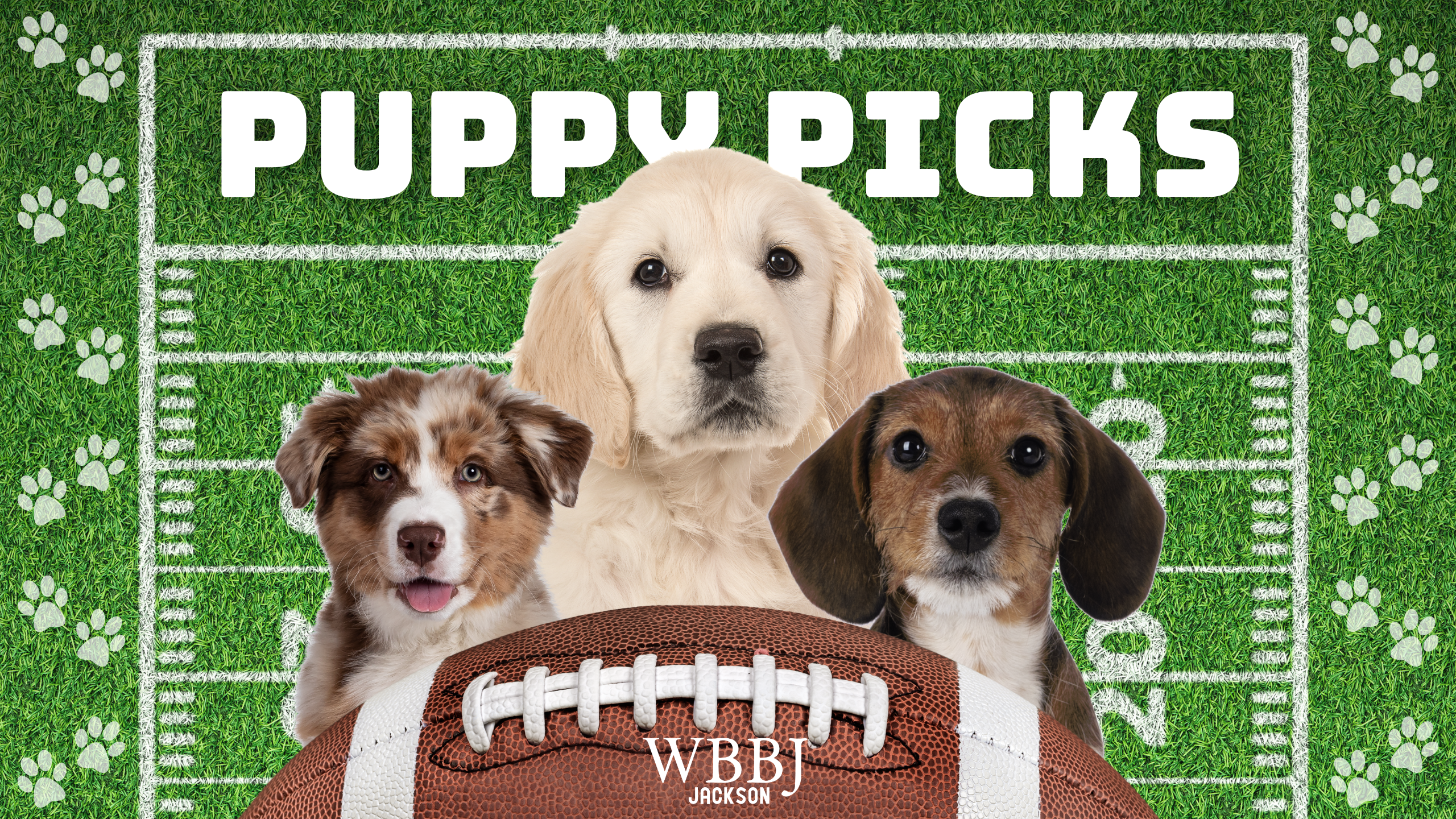 Puppy Picks