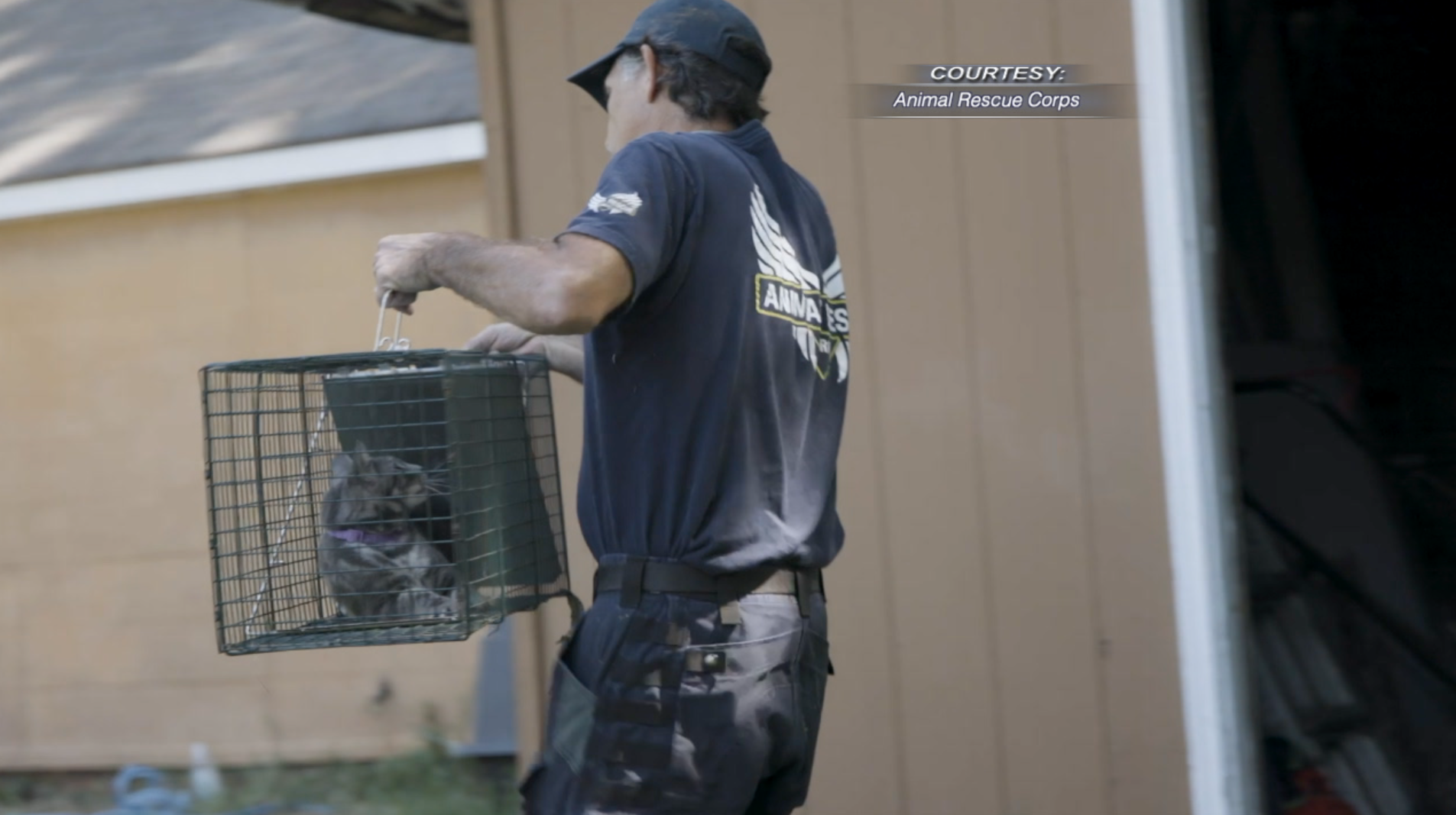 Gibson County Archives WBBJ TV