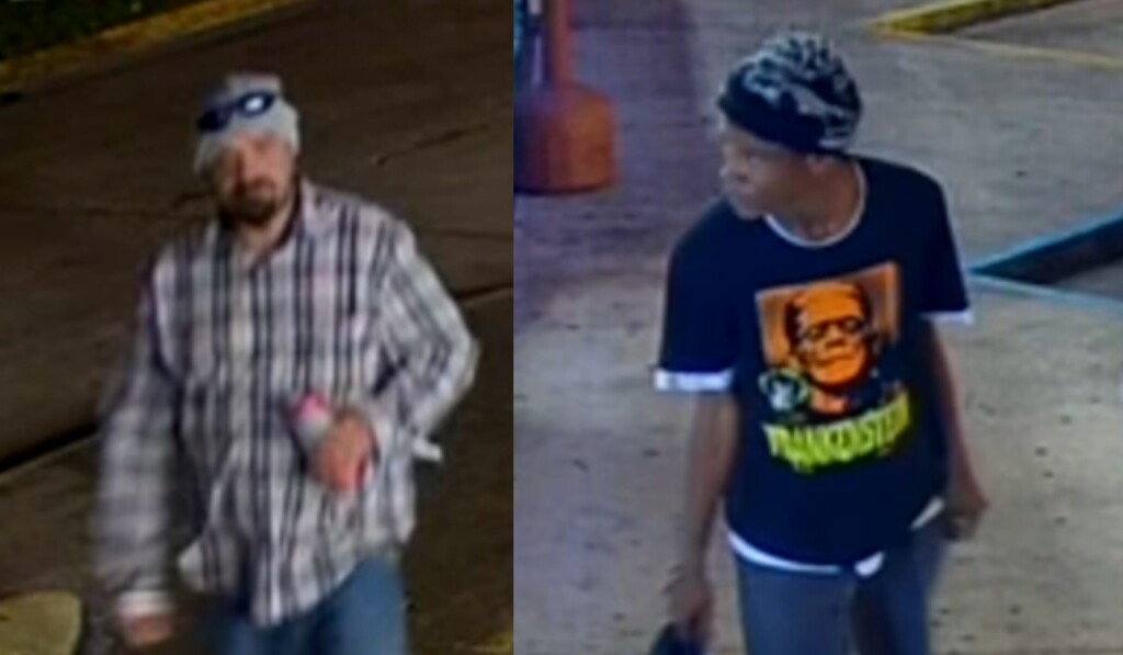 vehicle thieves