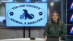 Pet Of The Week Wolfy