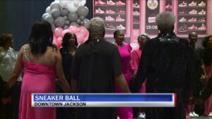 Pink Ice Sneaker Ball Vo/sot