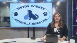 Pet Of The Week Bert