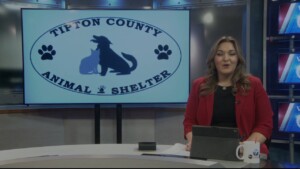 Pet Of The Week Rocky