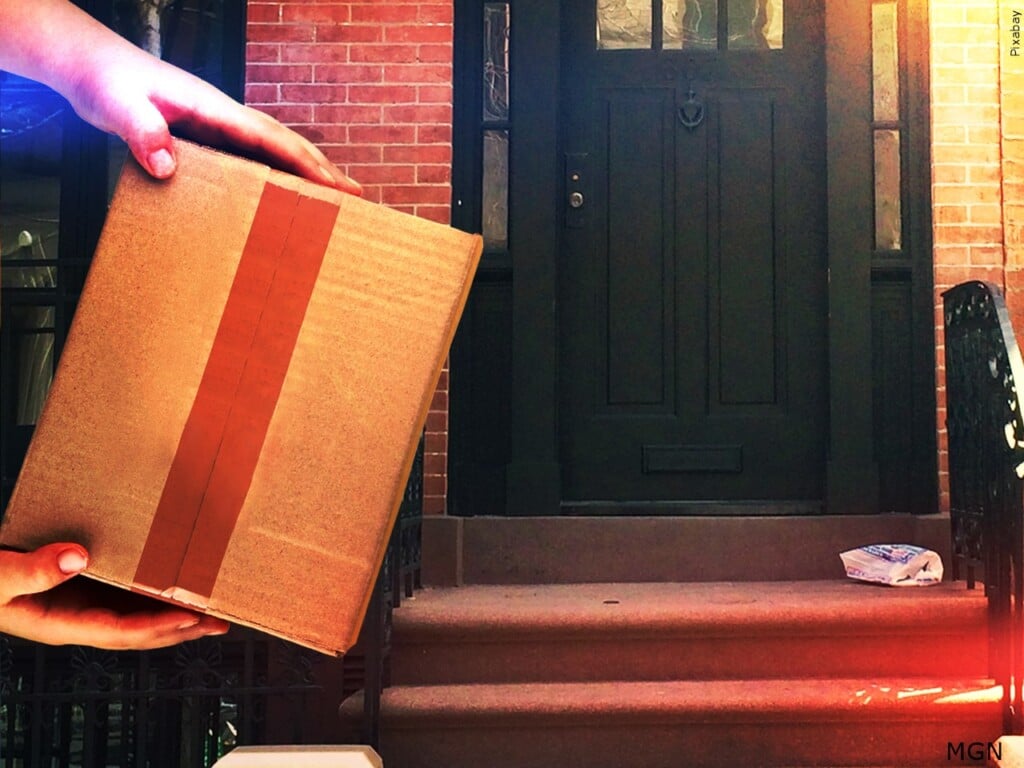 Porch pirate