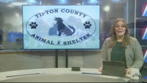 Pet Of The Week Randy