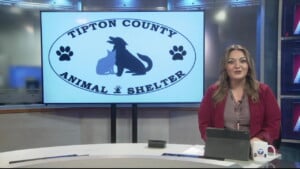 Pet Of The Week Boots