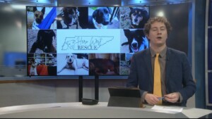 Pet Of The Week Cash