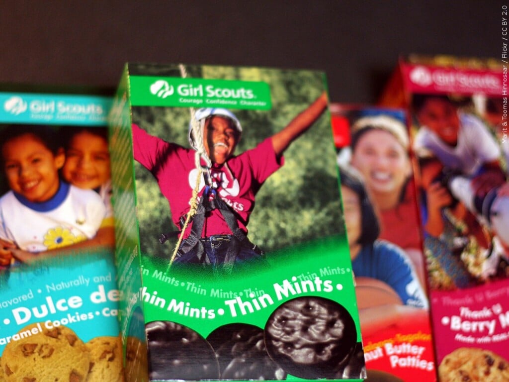 Girl scout cookie