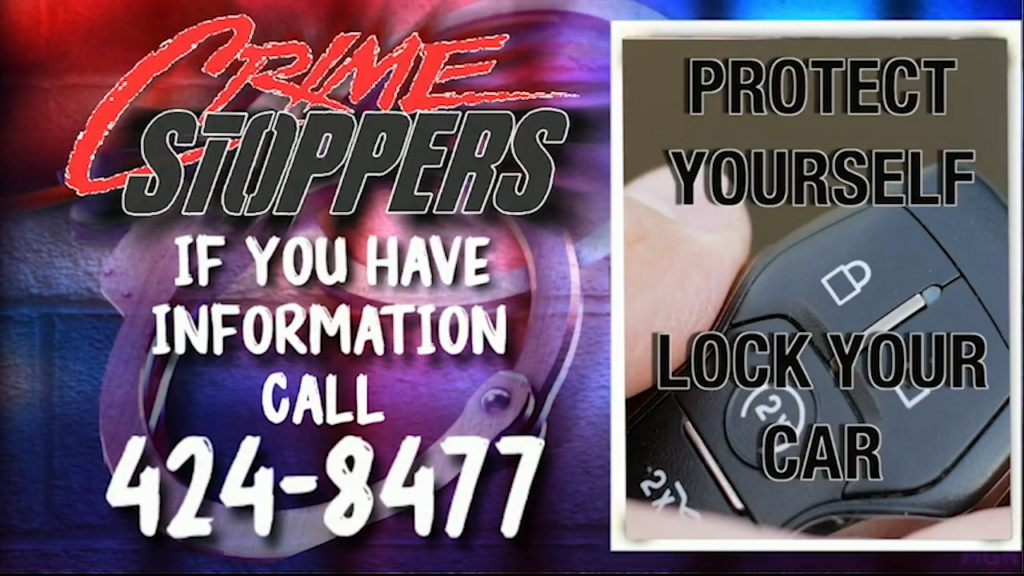 Auto burglaries