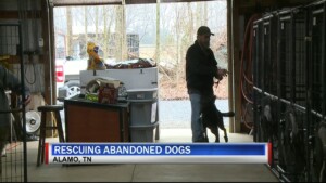 Abandoned Puppies Pkg