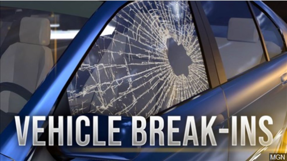 vehicle burglaries