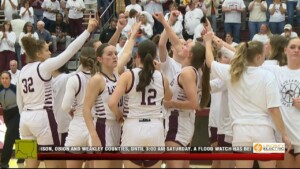 Fhu Lady Lions Defeat Johnson Unviersity In Naia First Round