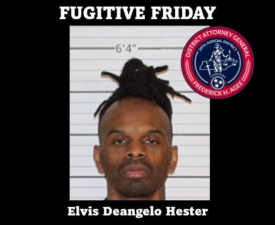 Fugitive