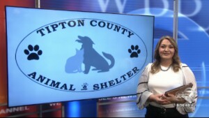 Pet Of The Week Tuffy