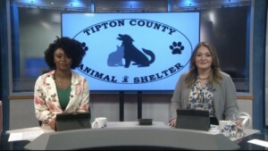 Pet Of The Week Tuffy