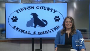 Pet Of The Week Hosta