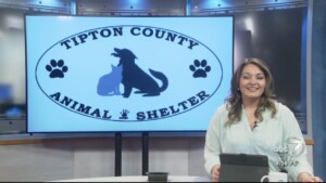 Pet Of The Week Harmony