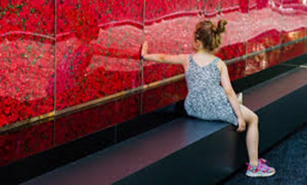 Poppy Wall