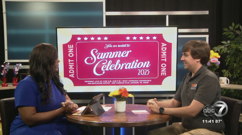 Summer Celebration